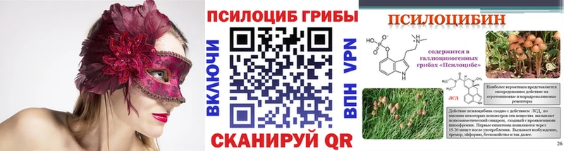 закладка  Бугуруслан  Псилоцибиновые грибы Cubensis 